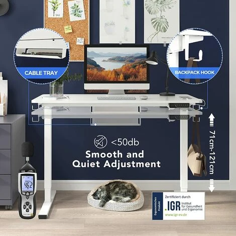 FLEXISPOT Electric Height Adjustable Standing Desk Sit Stand Desk Adjustable Desk Stand Up Desk With Memory Pannel-(White Frame+100cm White Top) - Image 3