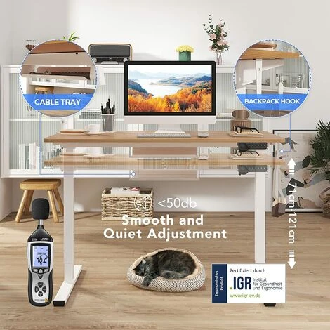 FLEXISPOT Electric Height Adjustable Standing Desk Sit Stand Desk Adjustable Desk Stand Up Desk With Memory Pannel-(White Frame+100cm Maple Top) - Image 2