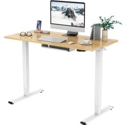 FLEXISPOT Electric Height Adjustable Standing Desk Sit Stand Desk Adjustable Desk Stand Up Desk-(White Frame+ 120x60cm Maple Top)