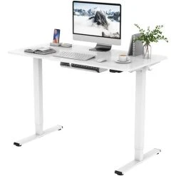 FLEXISPOT Electric Height Adjustable Standing Desk Sit Stand Desk Adjustable Desk Stand Up Desk-(White Frame+ 120x60cm White Top)