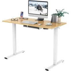 FLEXISPOT Electric Height Adjustable Standing Desk Sit Stand Desk Adjustable Desk Stand Up Desk-(White Frame+ 120x60cm Maple Top)