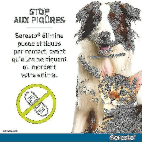 Woosien Cat And Dog Flea Collar With Tick Control - Image 5